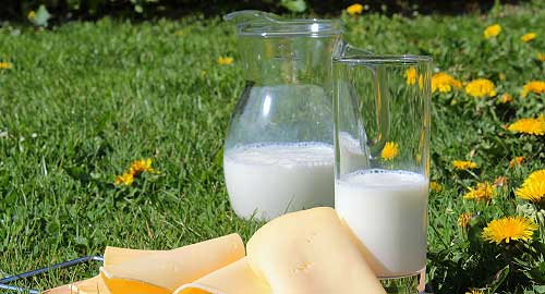home-milch